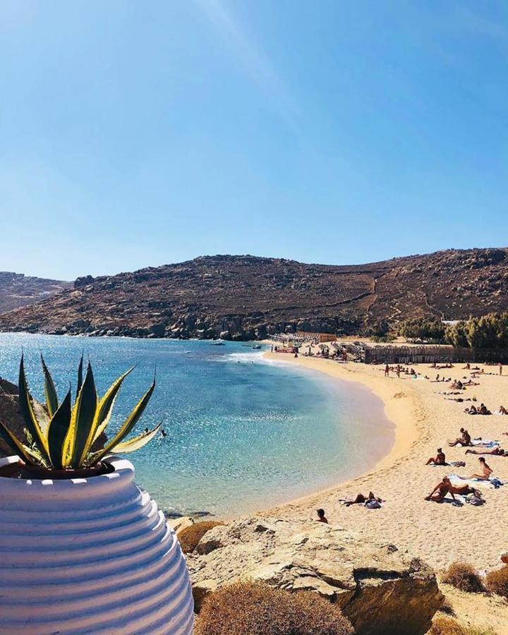 Agrari Ninemia Mykonos Hotell Exteriör bild